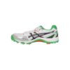 ASICS Men's Gel Gully-5 White, Black and Green Cricket Shoes _ 11 UK