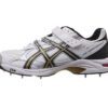 ASICS_Men's Gel-Speed Menace Lo - L Cricket Shoes