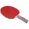 GKI Euro V Table Tennis Racquet (Multicolor)_BACK