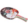 GKI Kung Fu DX Table Tennis Racquet