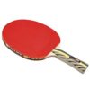 GKI Offensive XX New Computerised Printed Cover Table Tennis Racquet_SIDE