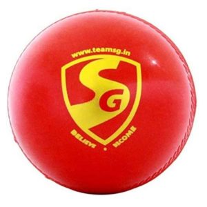 SG 'Everlast' Synthetic Cricket Leather Ball - Pack of 5