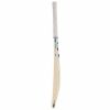 SG Super Cover English Willow Cricket Bat1