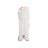 SG Test Batting Legguard New_cover2