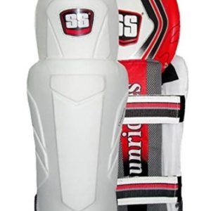 SS Dragon Wicket Keeping Legguard