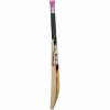 SS Josh Kashmir Willow Cricket Bat 2