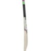 SS Magnum Kashmir-Willow Cricket Bat