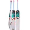 SS Master 1000 English Willow Cricket BAT