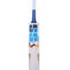 SS-Master 1500 English Willow Cricket BAT