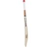 SS-Master 2000 English Willow cricket bat