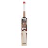 SS Master 2000 English Willow cricket bat