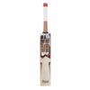 SS Master 2000 English Willow cricket bat