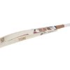 SS Master 2000 English Willow cricket bat_MC