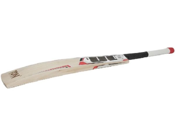 SS Master 9000 English Willow Cricket Bat