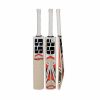 SS Master Kashmir Willow Cricket Bat1