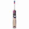 SS Slogger Kashmir Willow Cricket Bat1