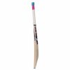 SS Slogger Kashmir Willow Cricket Bat3