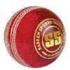 SS Yorker Leather Cricket Ball, Senior