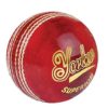 SS Yorker Leather Cricket Ball_Senior