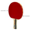 Stag 2 Star Table Tennis Racquet_LEFT