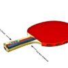 Stag 2 Star Table Tennis Racquet_RIGHT