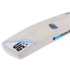 ULTIMATE_GOAL Popular Willow Professional Cricket BAT_BK