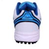 Vijayanti-Sports Cricket-Hockey Shoes for Men