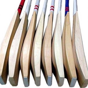 WillCraft Plain English Willow Cricket Bat