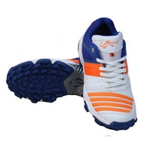 zigaro z2 cricket shoes