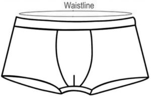 waistline