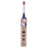 BDM Dynamic Power Cricket Bat