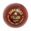 SS Club Cricket Ball2