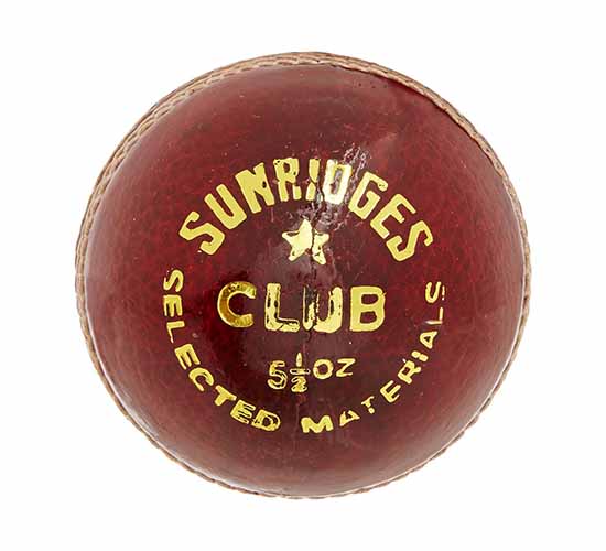 SS Club Cricket Ball2