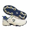 SG Sierra 2.0 Spikes Cricket Shoes