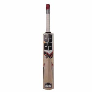 SS 281 kashmir willow cricket bat 1