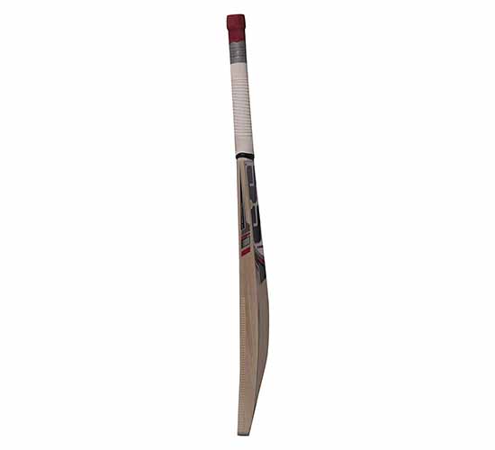 SS 281 kashmir willow cricket bat 2