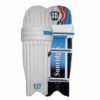 SS Kashmir Willow Cricket Full Kit Size3