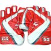 SS Match Wicket Keeping Gloves1