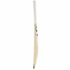 SG Cobra Gold Kashmir Willow Cricket Bat1