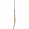 SG Hi-Score Xtreme English Willow Cricket Bat1