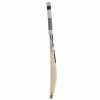 SG Nexus English Willow Cricket Bat1