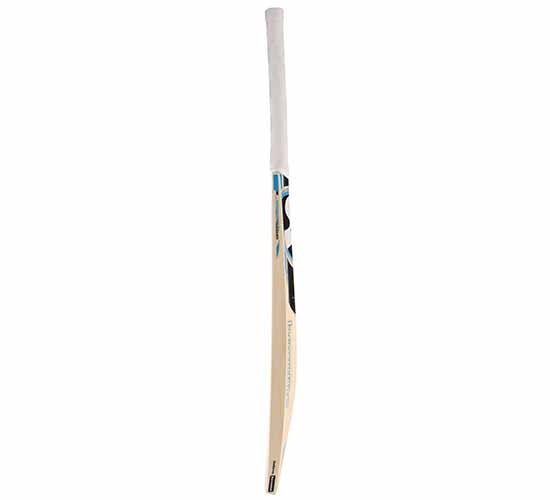 SG Nexus Plus Kashmir Willow Cricket Bat1