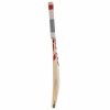 SG Opener Le English Willow Cricket Bat1