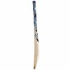 SG Player Xtreme English Willow Cricket Bat1