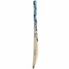 SG Players Edition English Willow Cricket Bat1