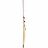 SG RSD Plus Kashmir Willow Cricket Bat1