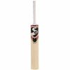 SG RSD Plus Kashmir Willow Cricket Bat2