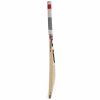 SG RSD Select English Willow Cricket Bat1