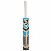 SG RSD Spark Kashmir Willow Cricket Bat