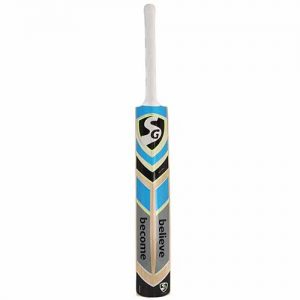 SG RSD Spark Kashmir Willow Cricket Bat